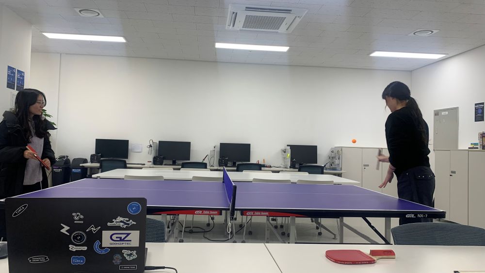 Goonziptec Table Tenis